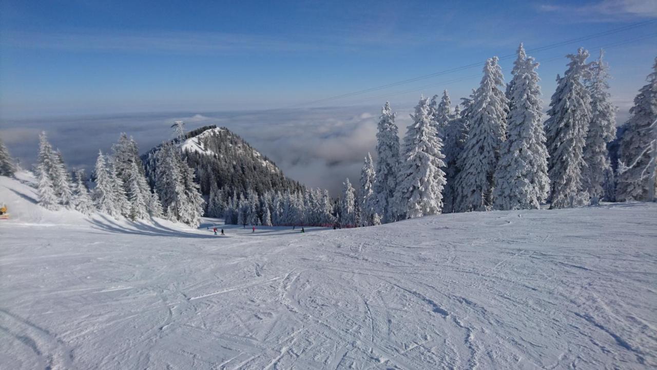 Apartament 2706 Alpin Resort, Etaj 7, פויאנה ברשוב מראה חיצוני תמונה