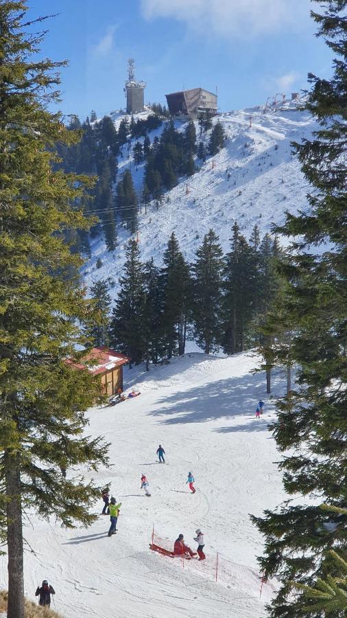 Apartament 2706 Alpin Resort, Etaj 7, פויאנה ברשוב מראה חיצוני תמונה